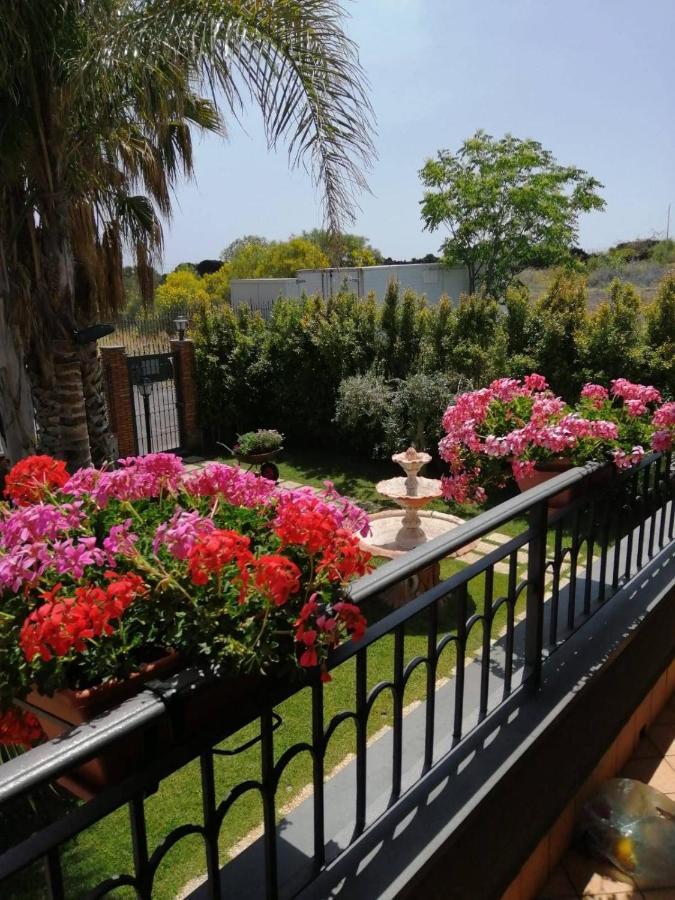 B&B Villa Salome' San Pietro Clarenza 外观 照片